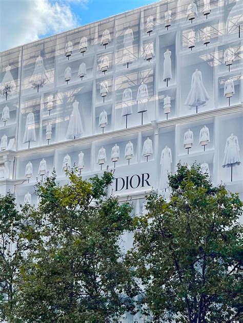 siege de dior|dior article 13.